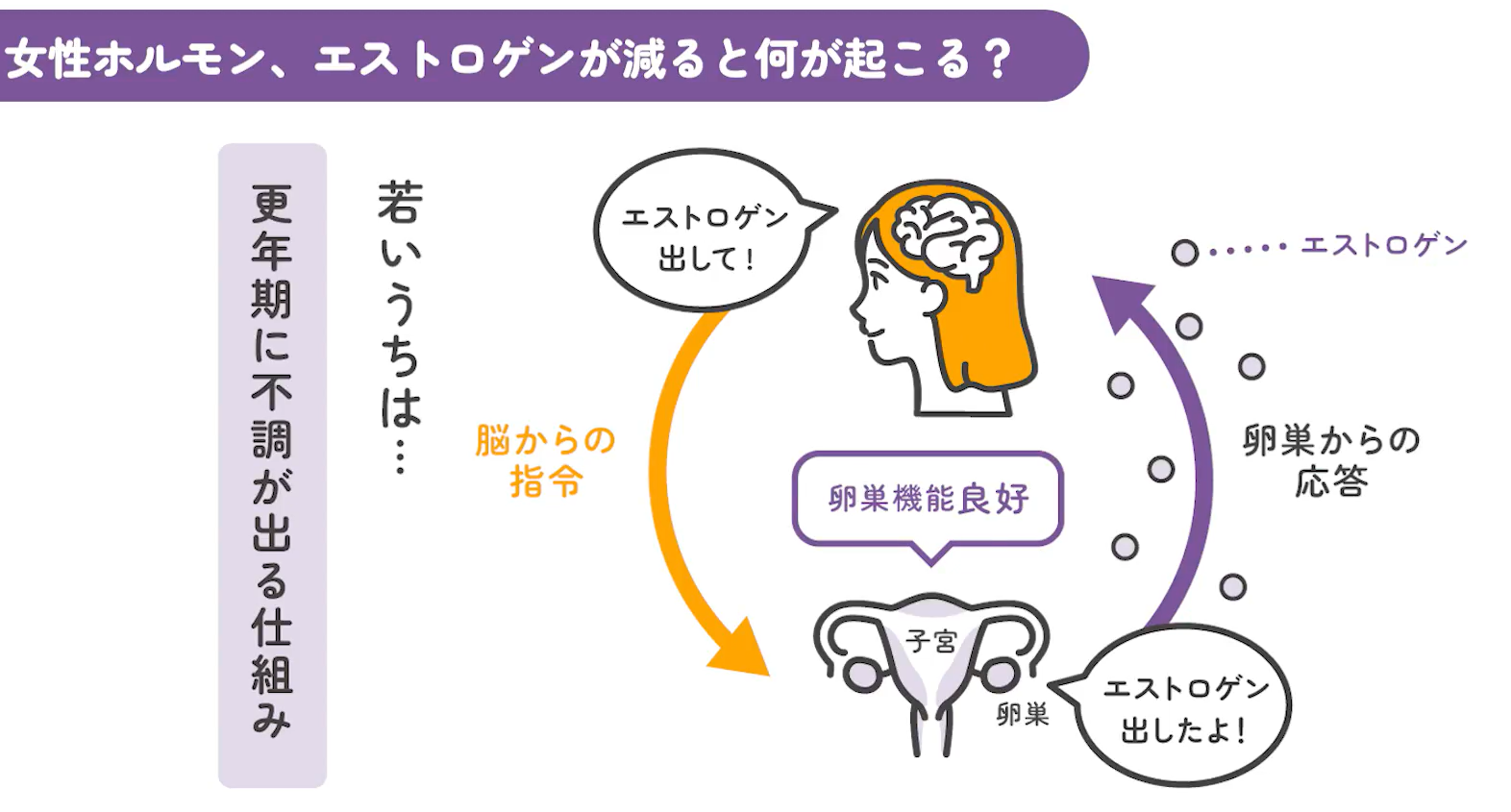 更年期に不調が出る仕組み